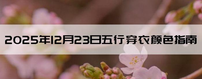 2025��12��23�����д�����ɫָ��