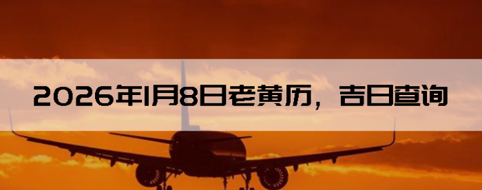 2026��1��8���ϻ��������ղ�ѯ