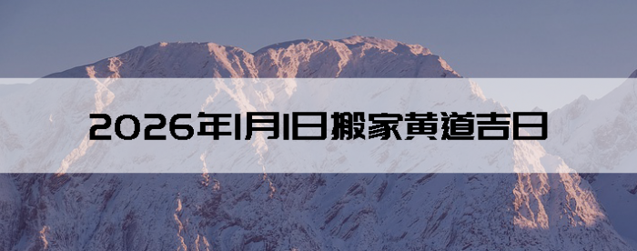 2026��1��5�հ�ҵ���������