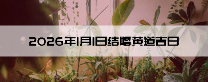 2026��1��5�ս������Ӳ�ѯ