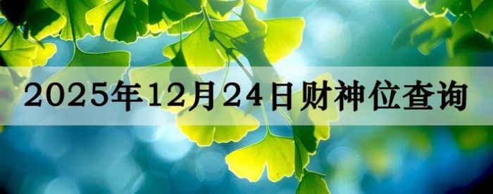 2025��12��24�ղ���λ��ѯָ��