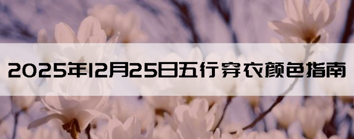 2025��12��25�����д�����ɫָ��