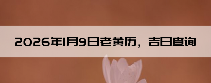 2026��1��9���ϻ��������ղ�ѯ