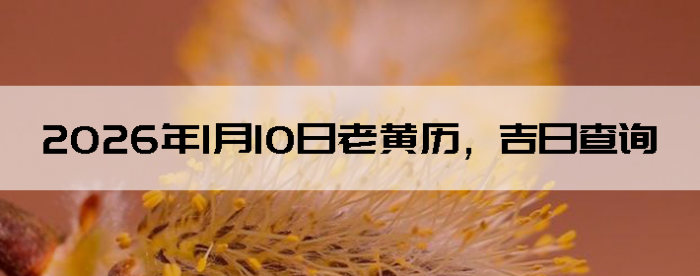 2026��1��10���ϻ��������ղ�ѯ