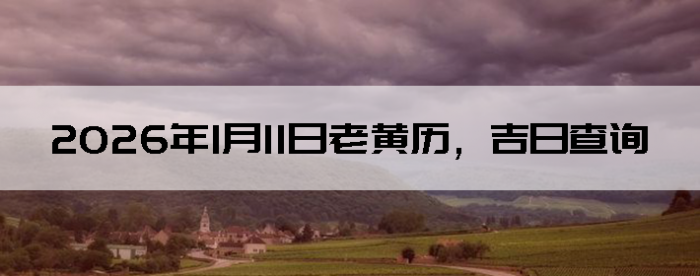 2026��1��11���ϻ��������ղ�ѯ