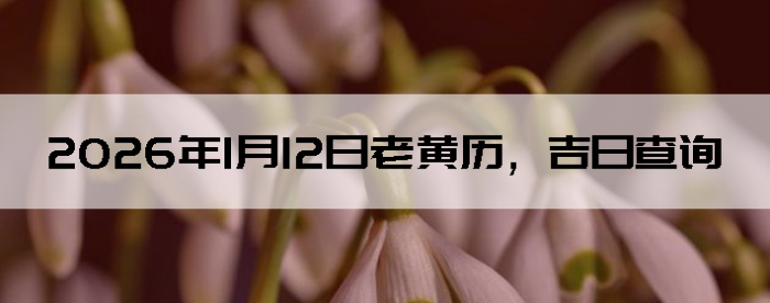 2026��1��12���ϻ��������ղ�ѯ