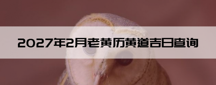 2026��2���ϻ����Ƶ����ղ�ѯ