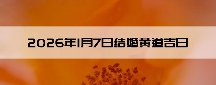 2026��1��7�ս������Ӳ�ѯ