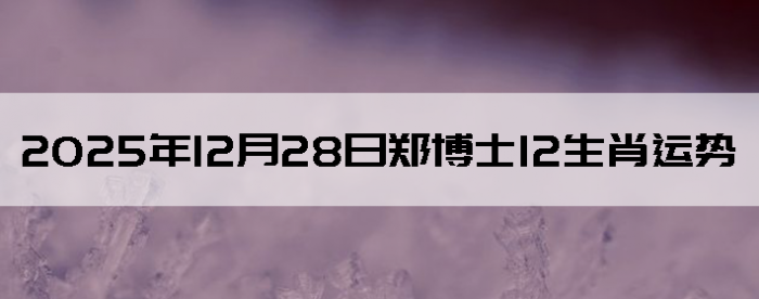 2025��12��28��֣��ʿ12��Ф����