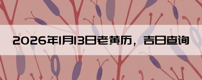 2026��1��13���ϻ��������ղ�ѯ