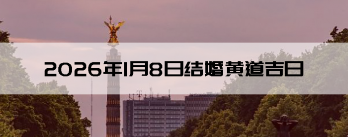 2026��1��8�������ʺϽ����