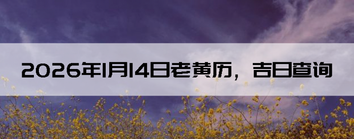 2026��1��14���ϻ��������ղ�ѯ