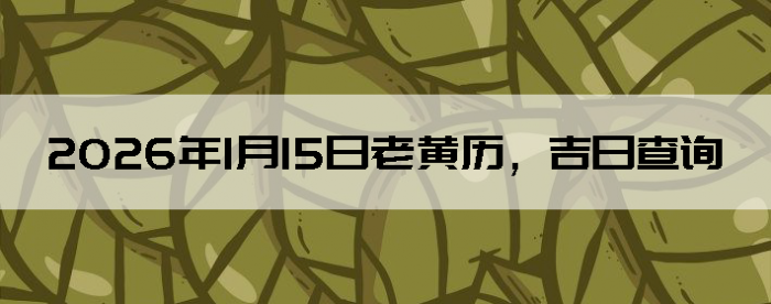 2026��1��15���ϻ��������ղ�ѯ