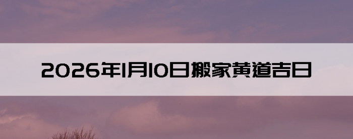 2026��1��10�հ�Һ����Ӳ�ѯ