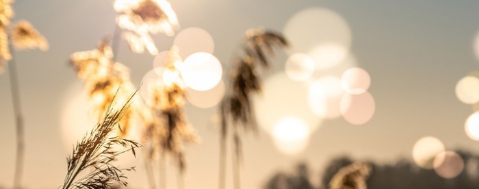 ��ָ��С���ˣ��������������