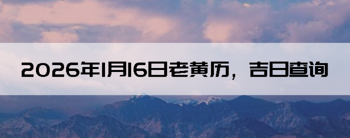 2026��1��16���ϻ��������ղ�ѯ