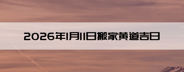 2026��1��11�������ʺϰ����