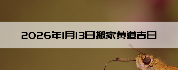 2026��1��13����������ô��