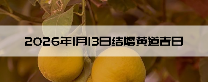 2026��1��13�������ʺϽ����