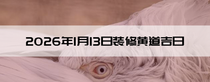 2026��1��13������װ����ô��