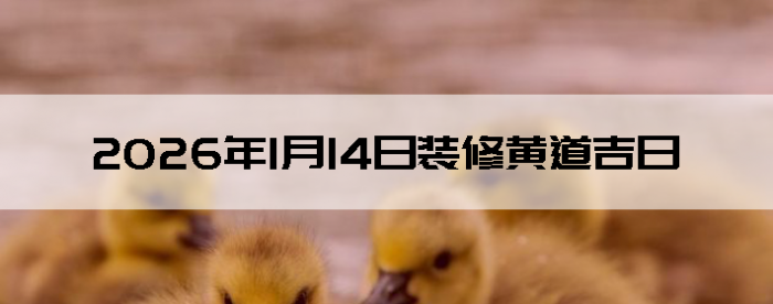 2026��1��14�������ʺ�װ����