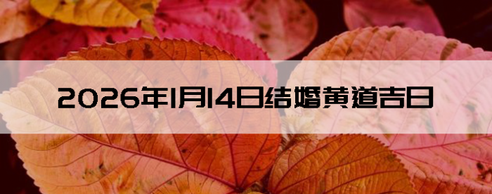 2026��1��14����������ô��