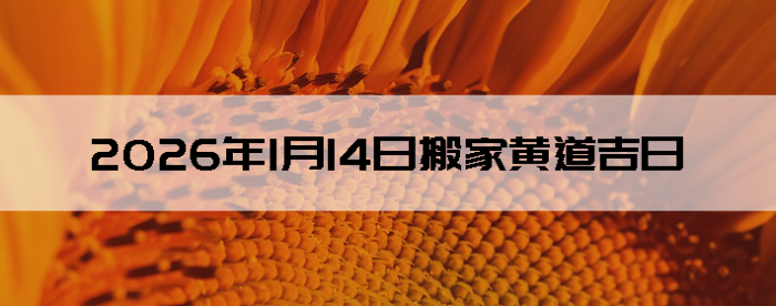 2026��1��14�������ʺϰ����