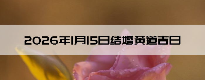 2026��1��15����������ô��