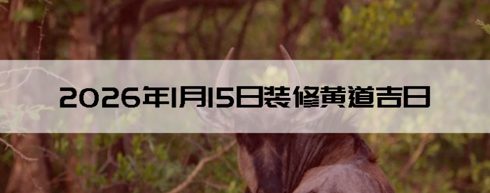 2026��1��15�������ʺ�װ����