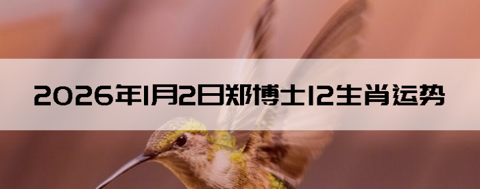 2026��1��2��֣��ʿ12��Ф����