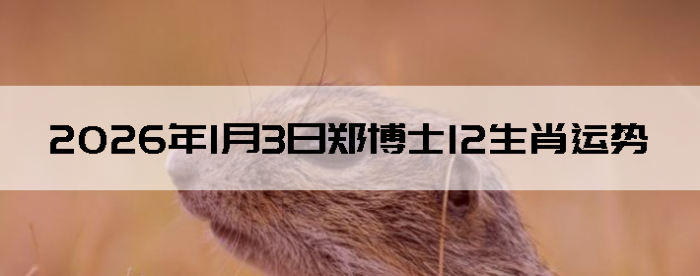 2026��1��3��֣��ʿ12��Ф����