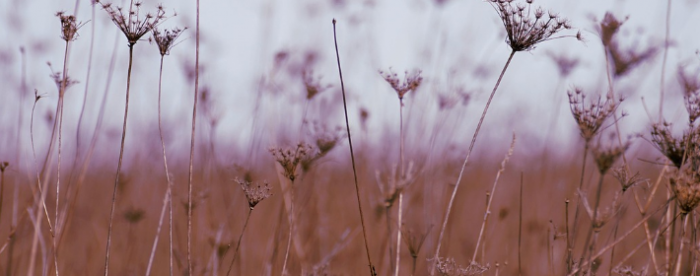 �������ѣ��ر���������²���