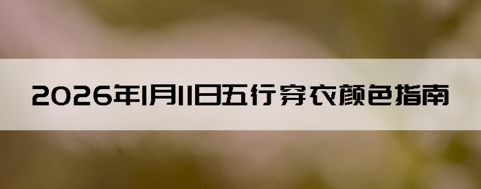 2026��1��11�����д�����ɫָ��