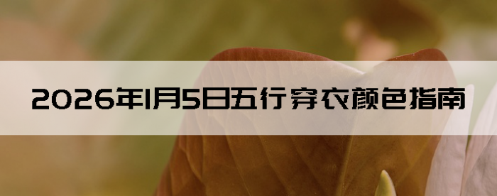 2026��1��5�����д�����ɫָ��