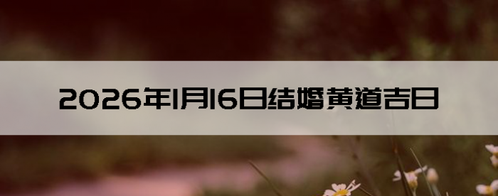 2026��1��16����������ô��