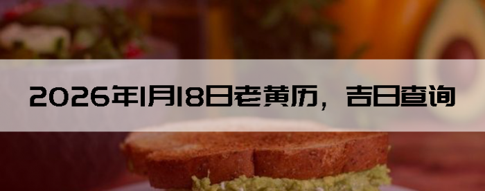 2026��1��18���ϻ��������ղ�ѯ