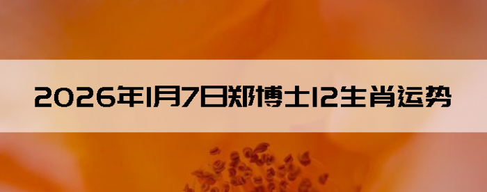 2026��1��7��֣��ʿ12��Ф����