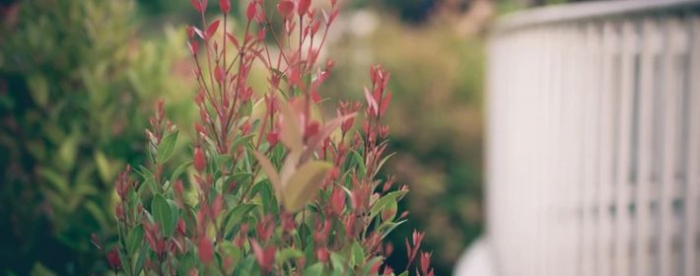 �󸻴������࣬�ú��������