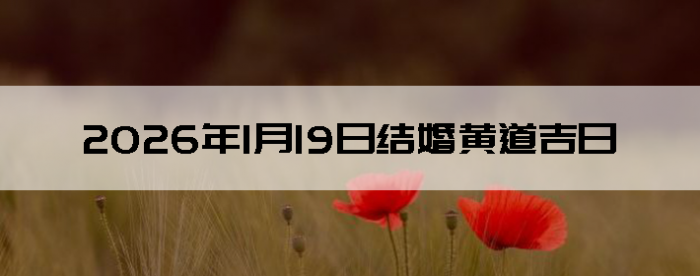 2026��1��19����������ô��