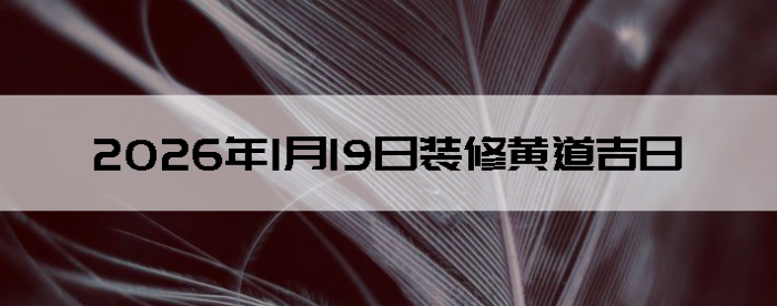 2026��1��19������װ����ô��