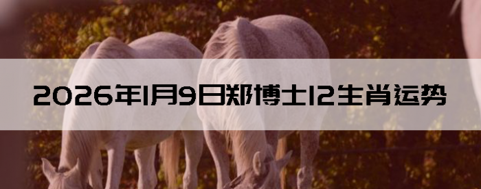 2026��1��9��֣��ʿ12��Ф����