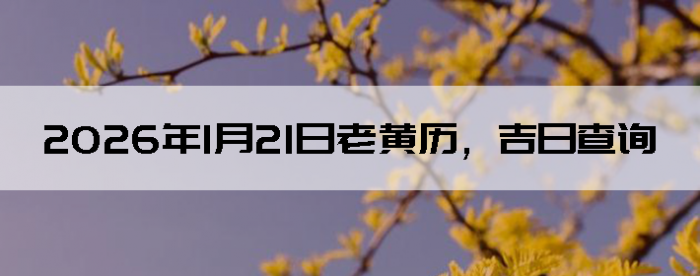 2026��1��21����������ô��