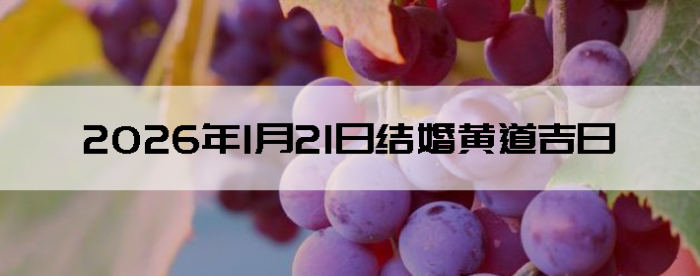 2026��1��21�ս������Ӳ�ѯ