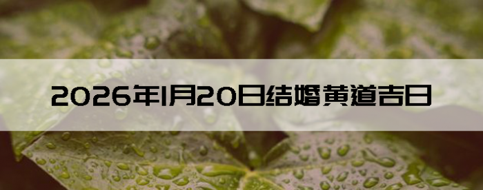 2026��1��20����������ô��