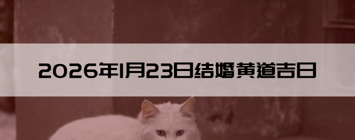 2026��1��23����������ô��