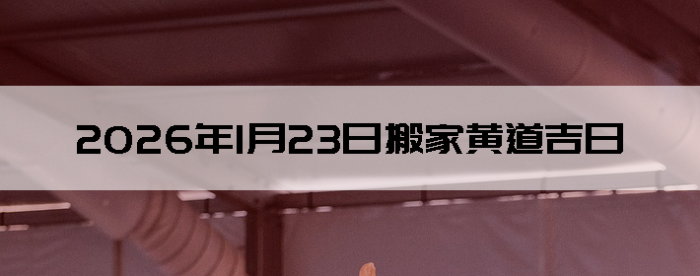 2026��1��23�������ʺϰ����