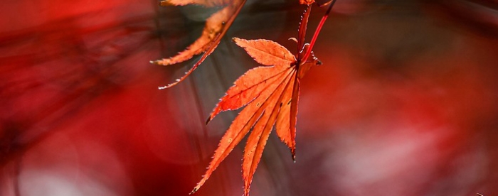 ���ϳ����룬Ī����Ǳ�ڵĸ�����