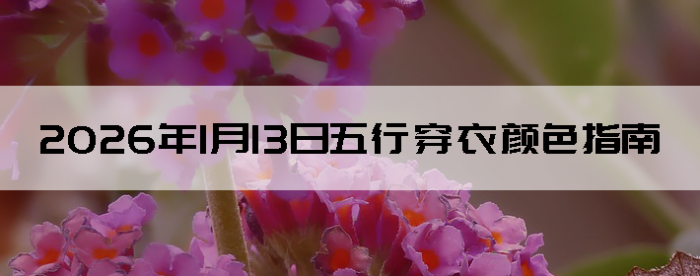 2026��1��13�����д�����ɫָ��