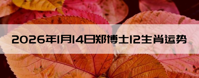 2026��1��14��֣��ʿ12��Ф����