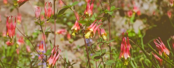 ��Щ��Ӱ����ҵ��չ��Ӱ��ɹ�